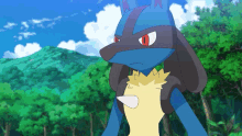Lucario Gif