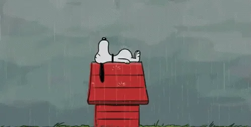 Rain Gif