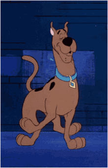 Scooby-Doo Gif