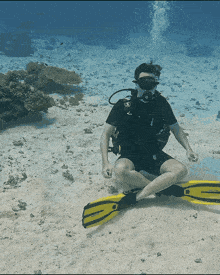 Scuba Diving Gif