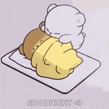 Sleep Gif