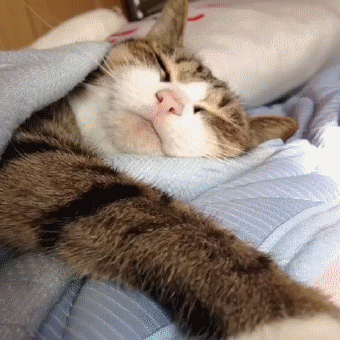 Sleep Gif