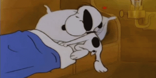 Sleep Gif