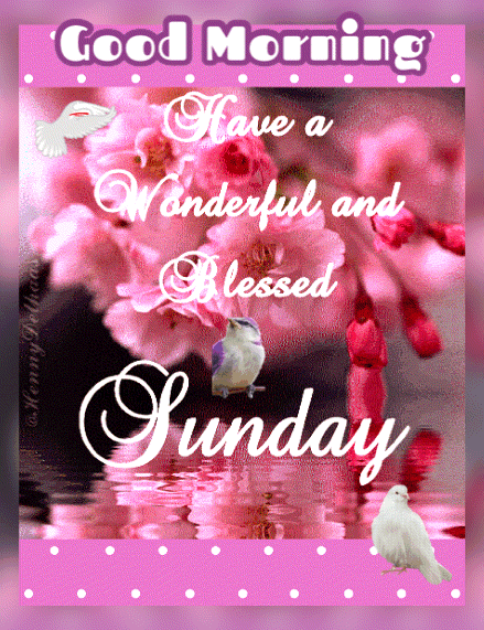 Sunday Blessings Gif