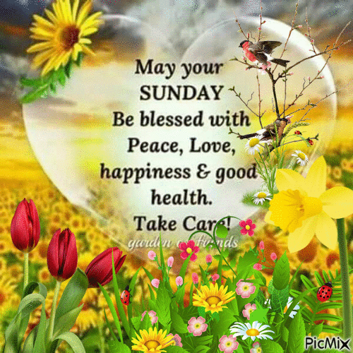 Sunday Blessings Gif