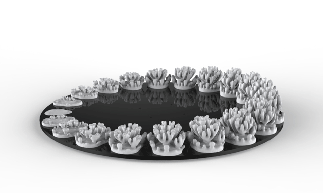 Zoetrope Gif