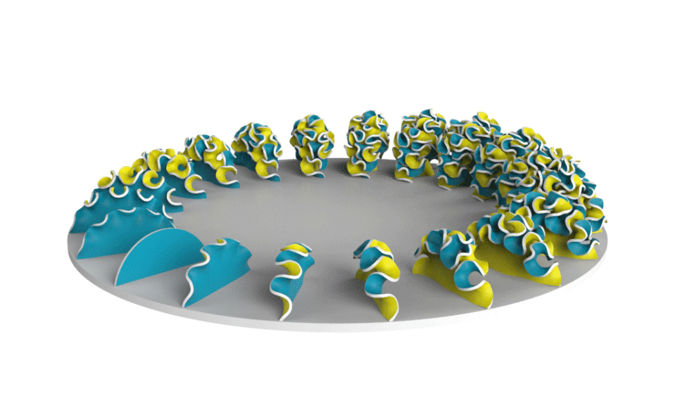 Zoetrope Gif