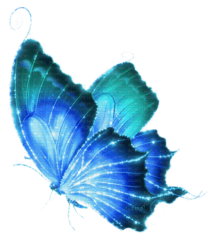 Butterfly Gif