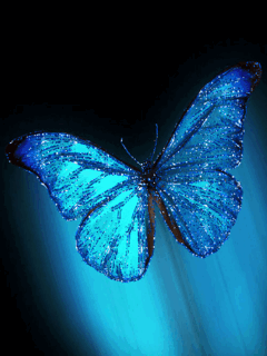 Butterfly Gif