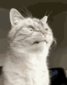 Disgusted Gif