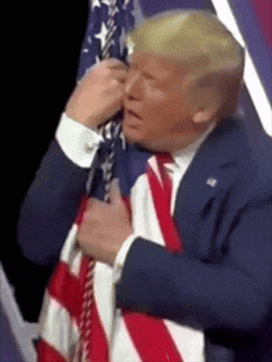 Donald Trump Gif