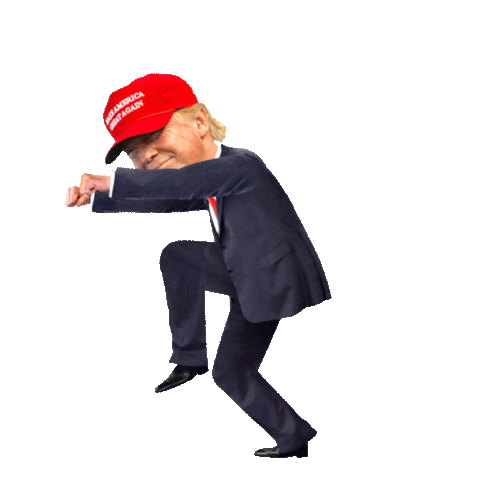 Donald Trump Gif