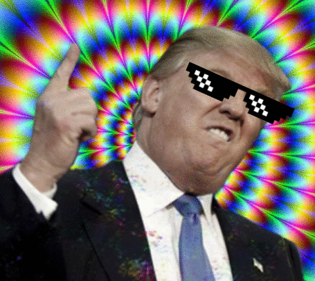 Donald Trump Gif