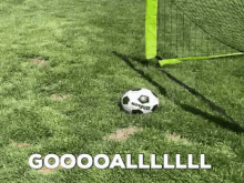 Goal Gif