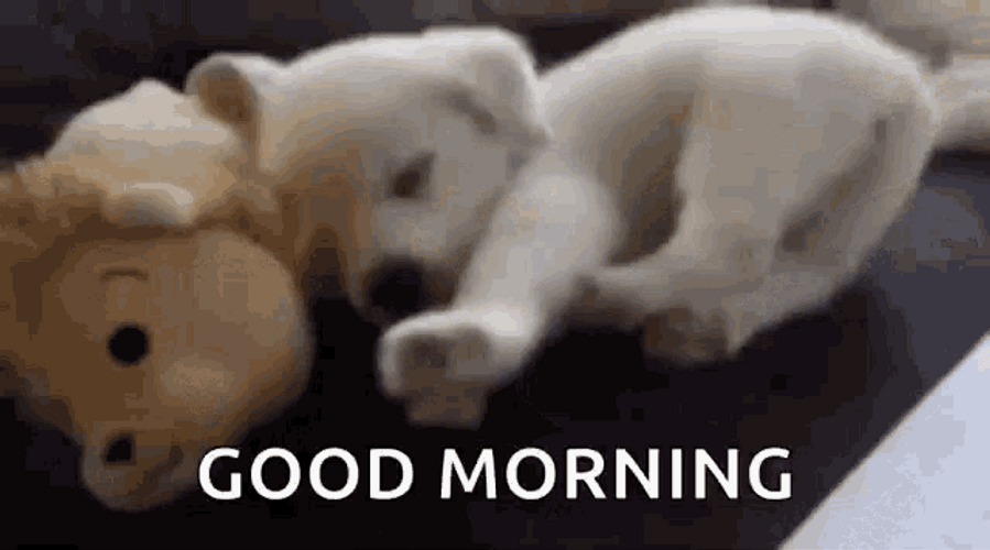 Puppy Gif