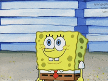 SpongeBob Gif