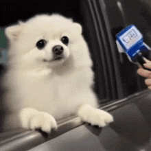 Thumb Signal Gif