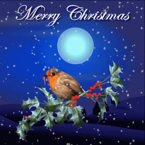 Christmas In July Gif