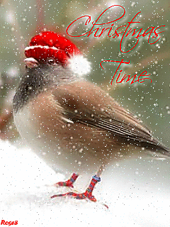 Christmas In July Gif