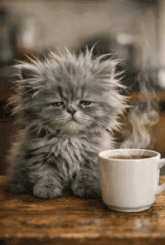 Coffee Gif