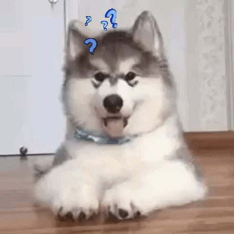 Confused Gif