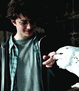 Harry Potter Gif