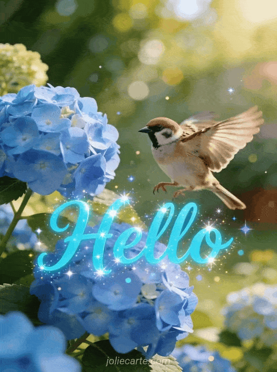 Hello Gif