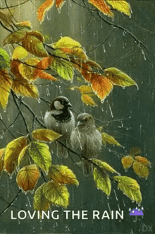 Rain Day Gif