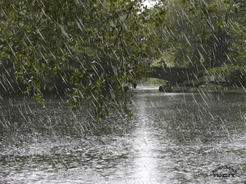 Rain Day Gif