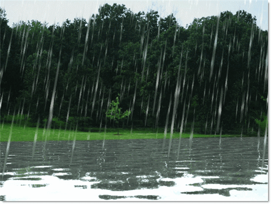 Rain Day Gif