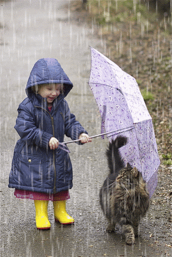 Rain Day Gif