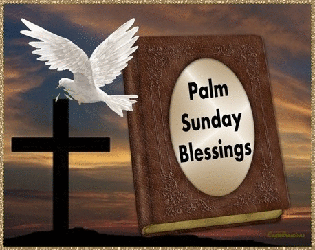 Sunday Gif Sunday Gif