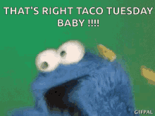 Taco Tuesday Gif