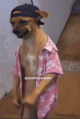 Dog Animated GIF