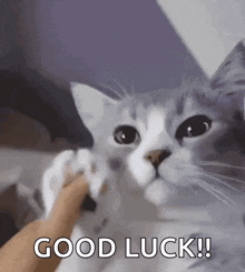 Good Luck Animated GIF