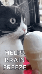 Ice Cream Animated GIF