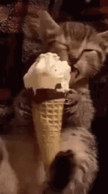 Ice Cream Animated GIF