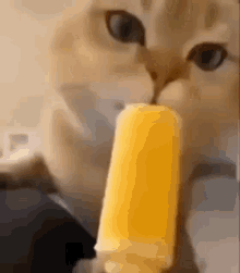 Ice Cream Animated GIF