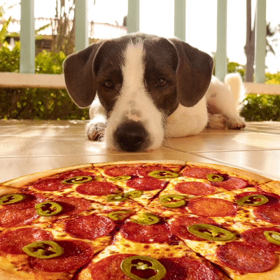 Pizza Gif