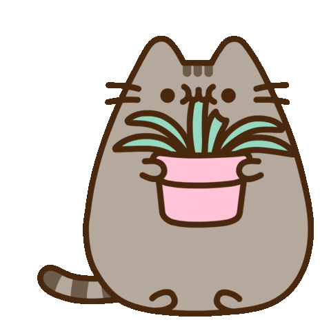Pusheen Cat Animated GIF