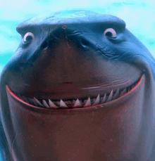 Shark Animated GIF