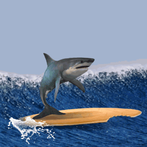 Shark Animated GIF