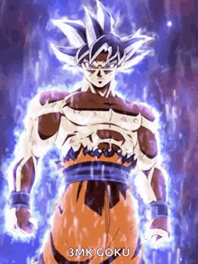 Son Goku Animated GIF