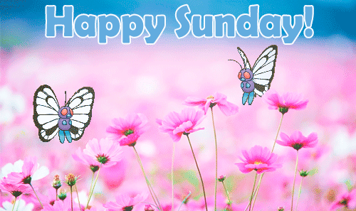 Sunday Blessing Animated GIF
