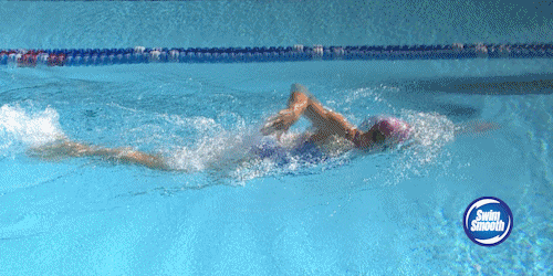 Swimming Animated GIF