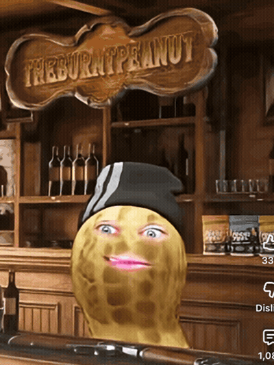 TheBurntPeanut Gif