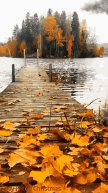 Autumn Animated GIF