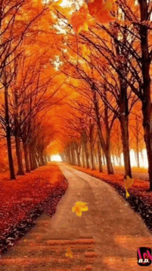 Autumn Animated GIF