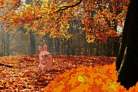 Autumn Animated GIF