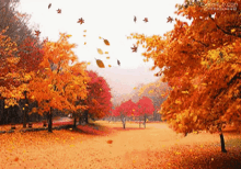 Autumn Animated GIFs